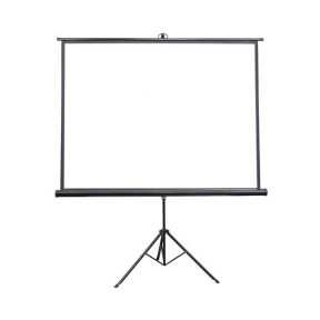 Tripod Projector Screen 150”x150”